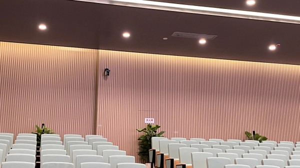 育才实验小学教育集团荷花小学天荷校区8.jpg